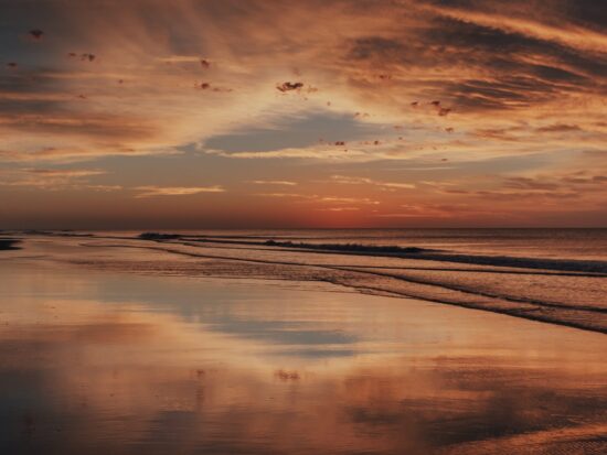 pexels-gaspar-zaldo-6737864