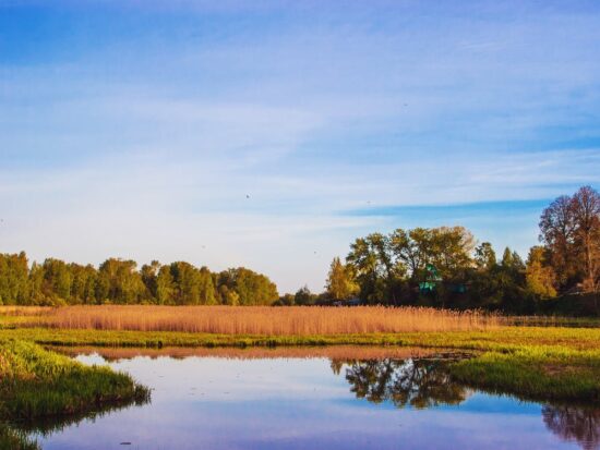 pexels-photo-12266685