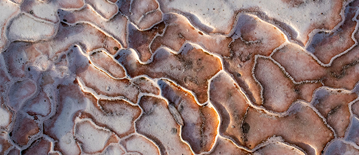 Sedimentary rocks_S_2053 copy