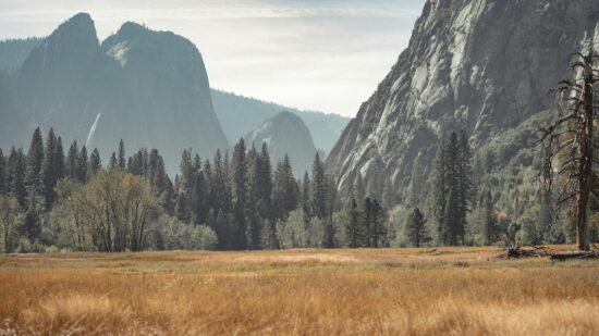 pexels-line-knipst-574109081-19277647 (1)