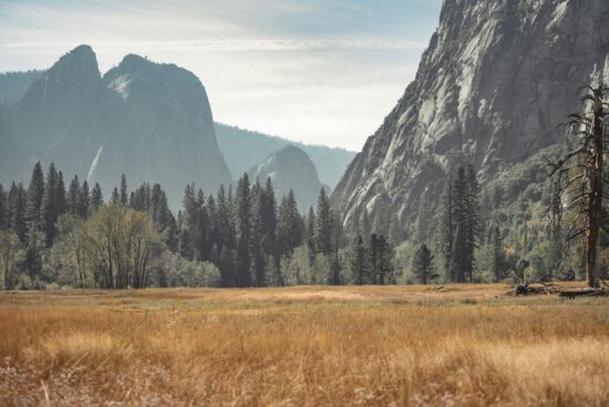 pexels-line-knipst-574109081-19277647 (1)