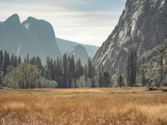 pexels-line-knipst-574109081-19277647 (1)