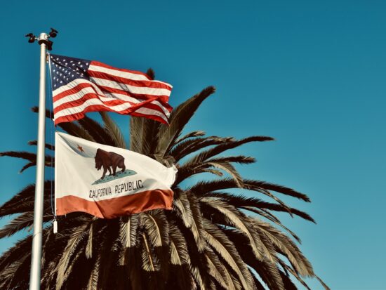 California flag with palm tree