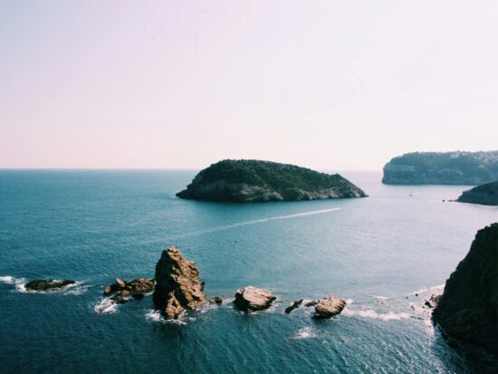 pexels-toulouse-1774781