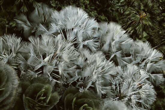 pexels-ken-benitez-16362662-6384787