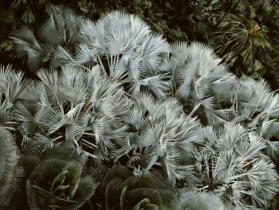 pexels-ken-benitez-16362662-6384787