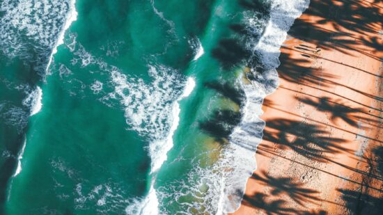 pexels-pok-rie-33563-3608071