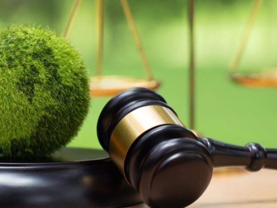 Environment Law. Green World and gavel