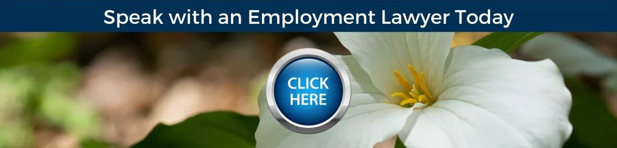 employment law firm toronto - Achkar Law