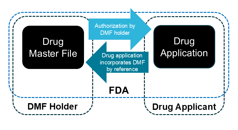 This diagram shows the relationship between the drug master file and drug application.