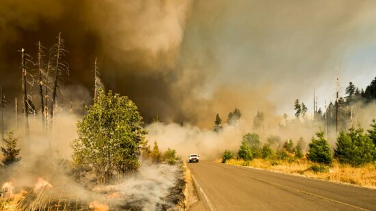 We were on our way to a lookout to photograph activity on the Jones Fire as part of our work for the fire management team. We heard radio traffic about a spot fire that has jumped the road we were traveling on. We drove up to find controlled chaos and very active fire. I jumped out with fire gear on and started shooting. I like this shot because it tells the whole story in one frame.