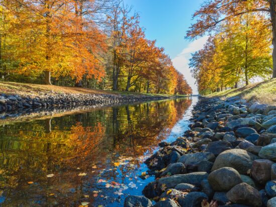 pexels-inge-wallumrød-223022