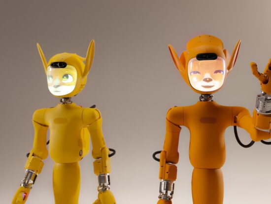 The Mirokaï : Where AI meets enchantment