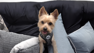 &nbsp; Sammy - Director of First Impressions